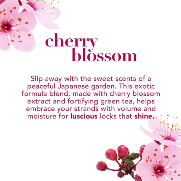 OGX shampoo heavenly hydration + cherry blossom 385ml - Image 4