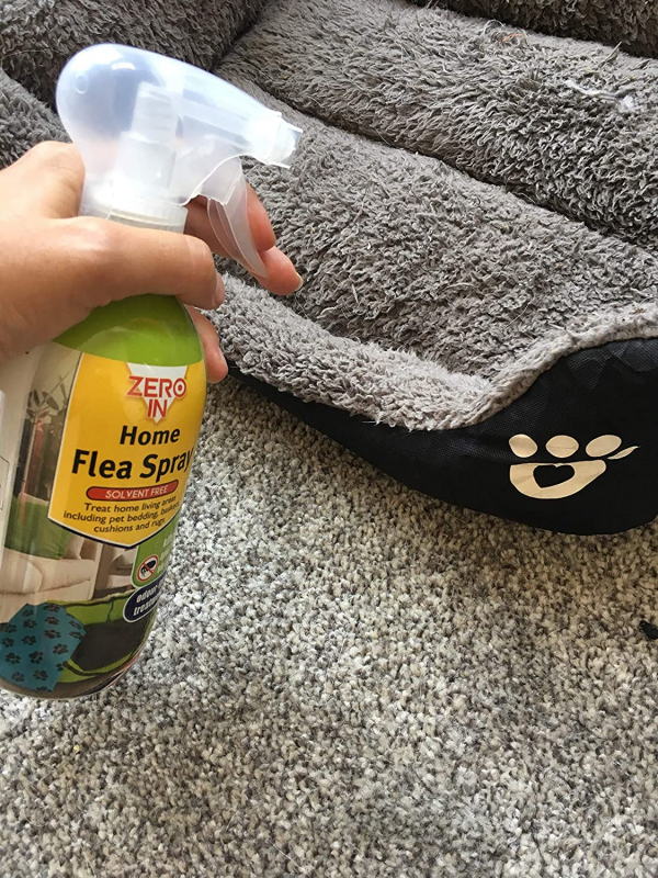 Zero In Home Flea Spray – 500 ml (Solvent-Free, Clear Water-Based Flea Treatment) - Image 2