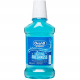 Oral B Complete Lasting Freshness Arctic Mint Mouthwash 250ml