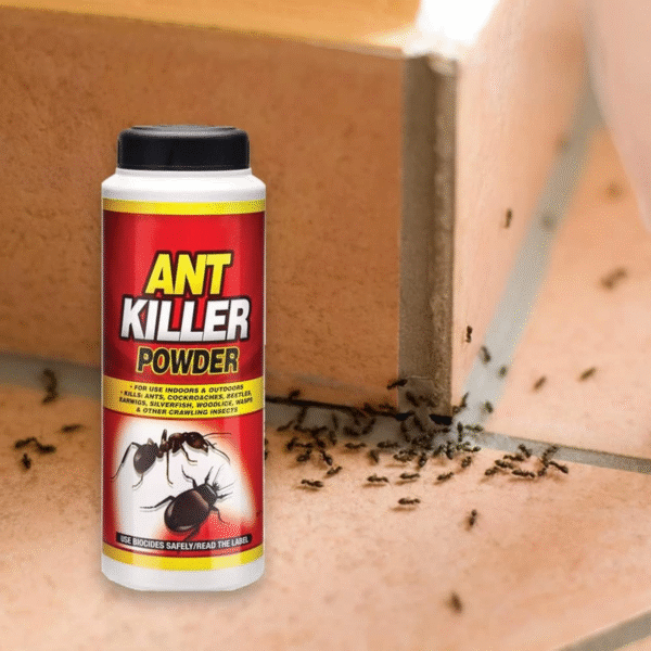 PestShield Ant Killer Powder 150gm