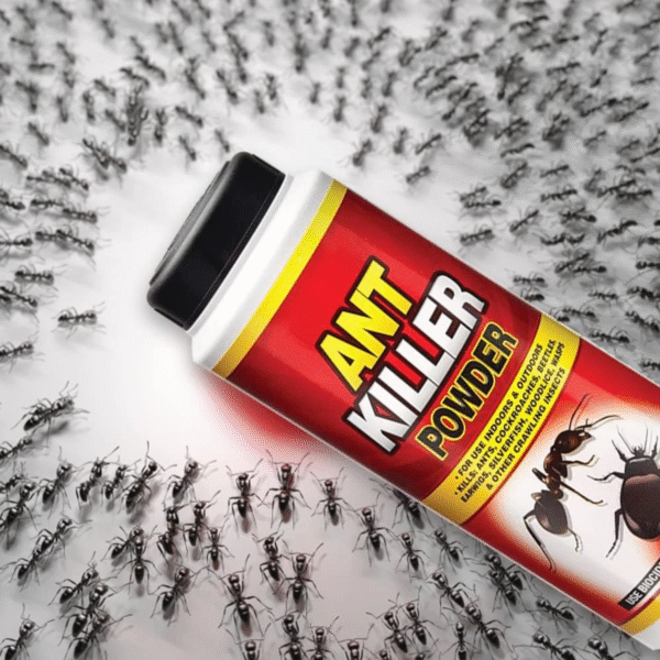 PestShield Ant Killer Powder 150gm - Image 2